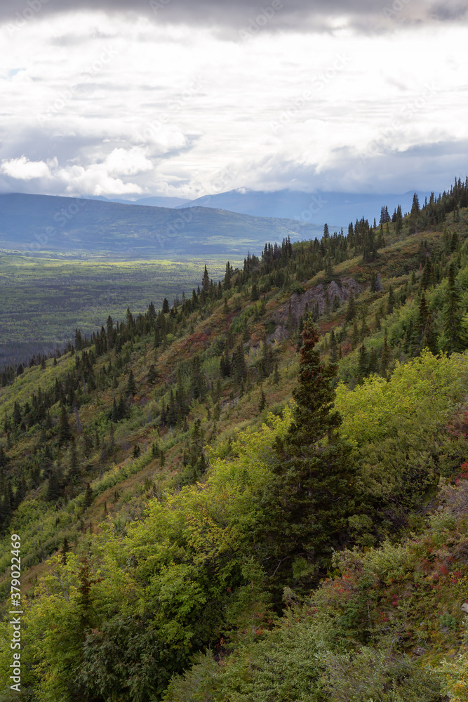 Fototapeta premium Aerial View. View of Canadian Mountain Landscape during a cloudy morning sunrise. Kluane National Park, Yukon, Canada.