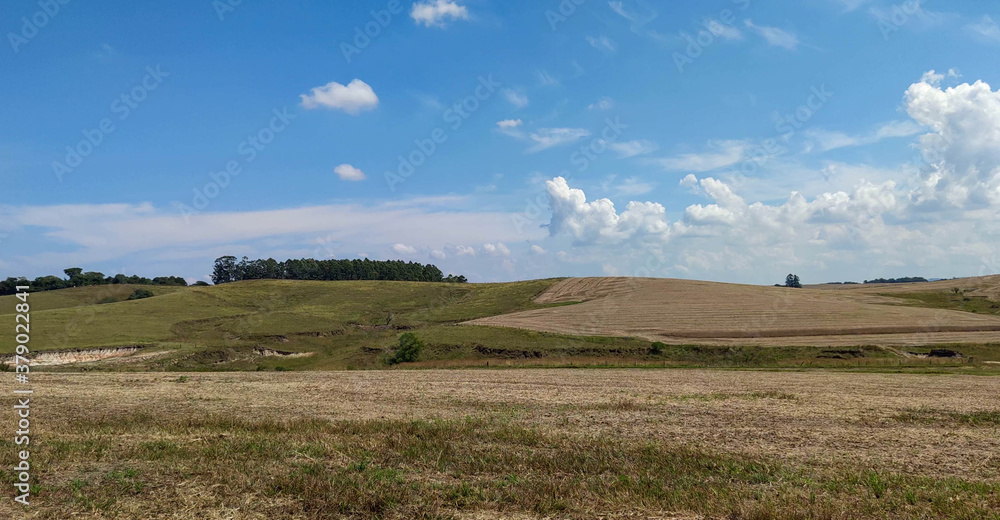 Rural landscape and blue sky in soybean production fields in southern Brazil Rural landscape and blue sky in soybean production fields in southern Brazil
