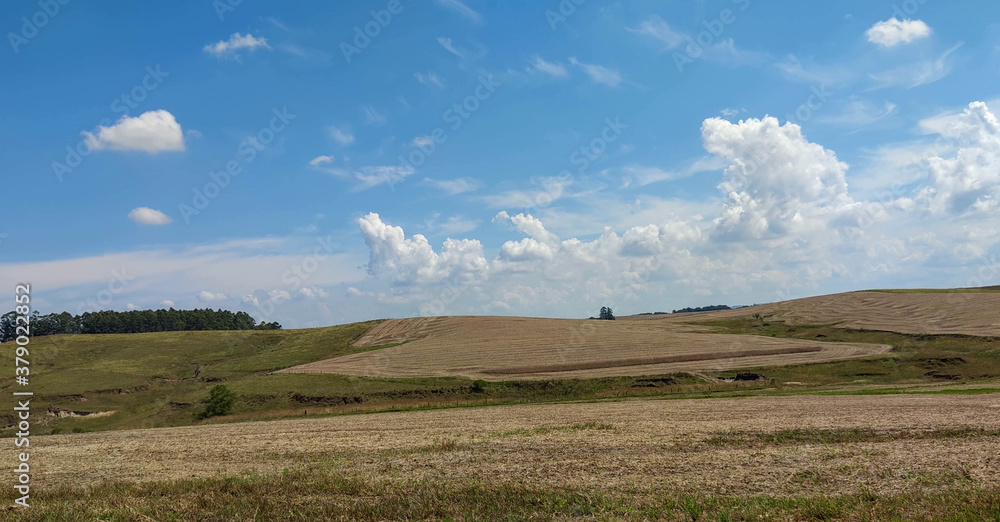 Rural landscape and blue sky in soybean production fields in southern Brazil