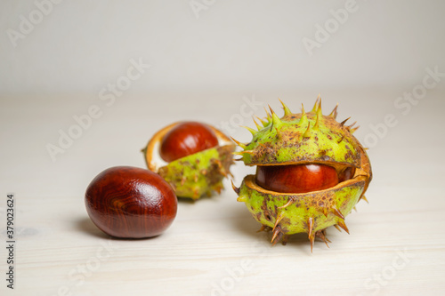 Ripe fruits and seeds of horse chestnut on a light background.