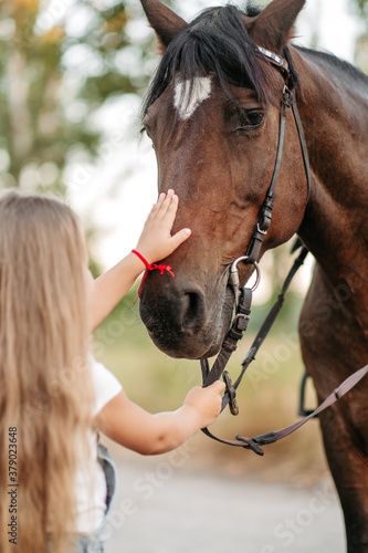 Fototapeta Naklejka Na Ścianę i Meble -  Emotional contact with the horse. Horse riding. The girl rides a horse in the summer.