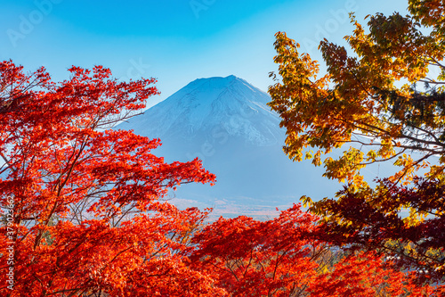 Mount Fuji on the backgroun...