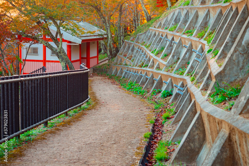 Autumn trip to Kawaguchiko....