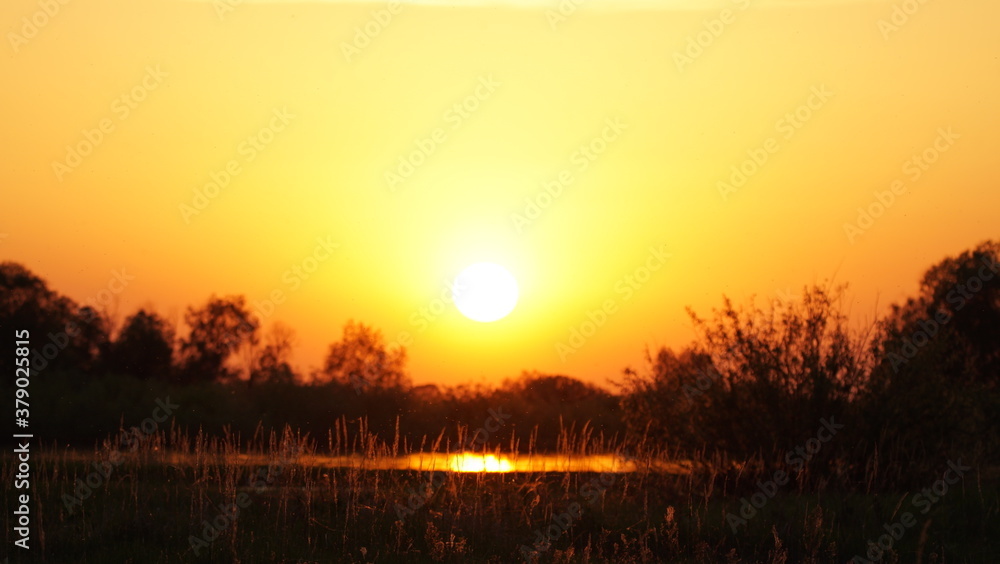 Sunset over the river Pripyat, captured in Belarus Sunset over the river Pripyat, captured in Belarus