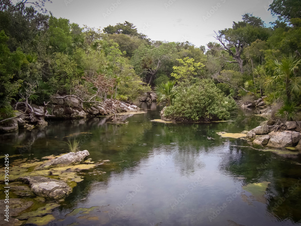 Amazing landscape in Yucatan river in Mexico Amazing landscape in Yucatan river in Mexico