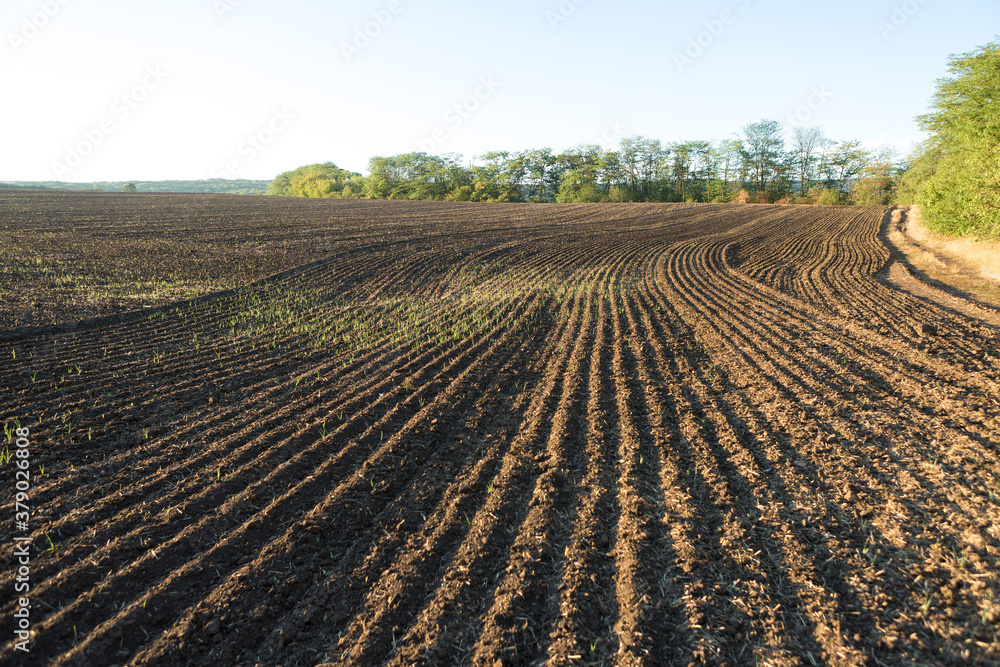 Sunset over a plowed field with brown soil. Beautiful autumn landscape. Sunset over a plowed field with brown soil. Beautiful autumn landscape.