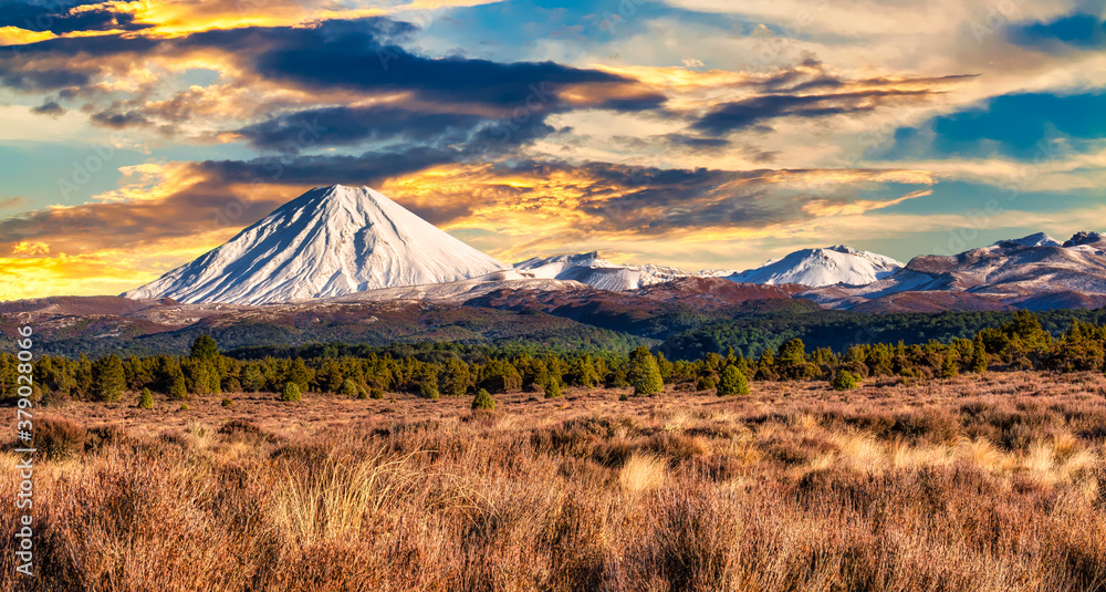 Fototapeta premium Fiery skies over the snow capped peaks in the desert Road featuring Mount_Ngauruhoe