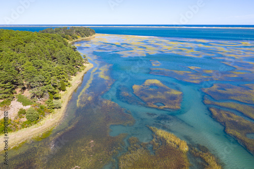 Obraz na plátně Salt marshes and estuaries are found throughout Cape Cod, Massachusetts