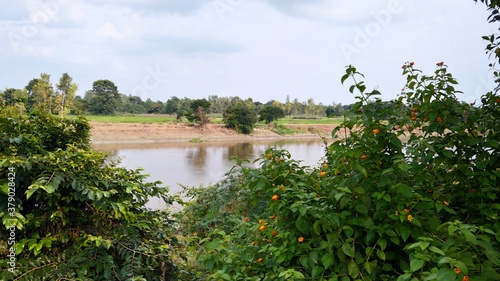 Bank of river, sky and series of trees