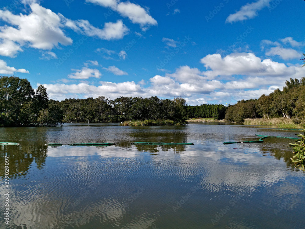 Beautiful view of a lake with reflections of blue sky, clouds, and trees on water, lake Pavillion, Sydney Olympic park, Sydney, New South Wales, Australia
