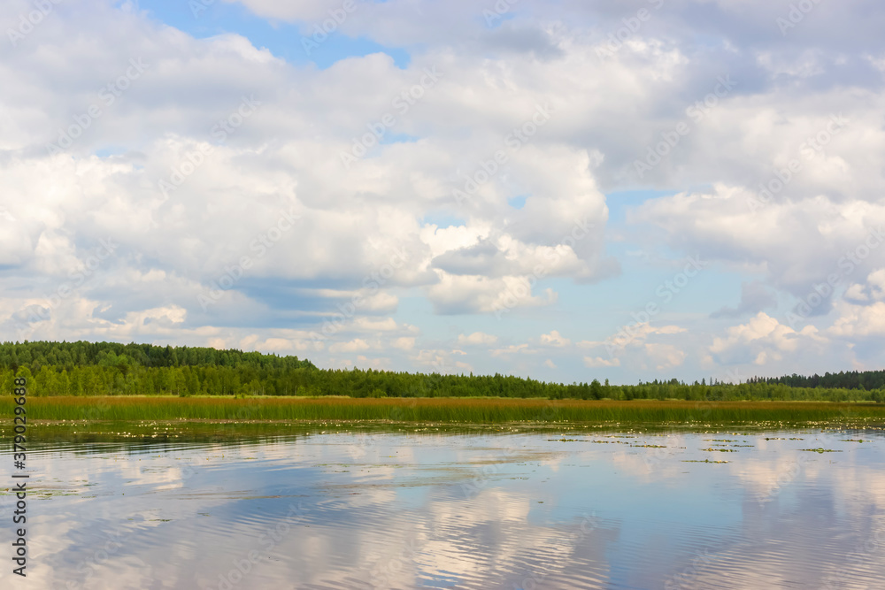 Landscape on a wild forest lake on a quiet summer day