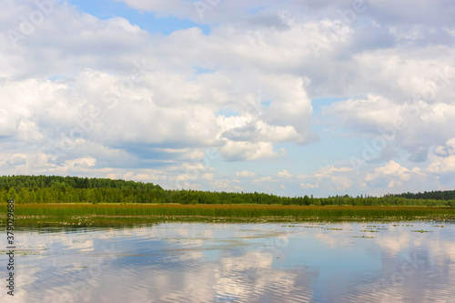Landscape on a wild forest lake on a quiet summer day