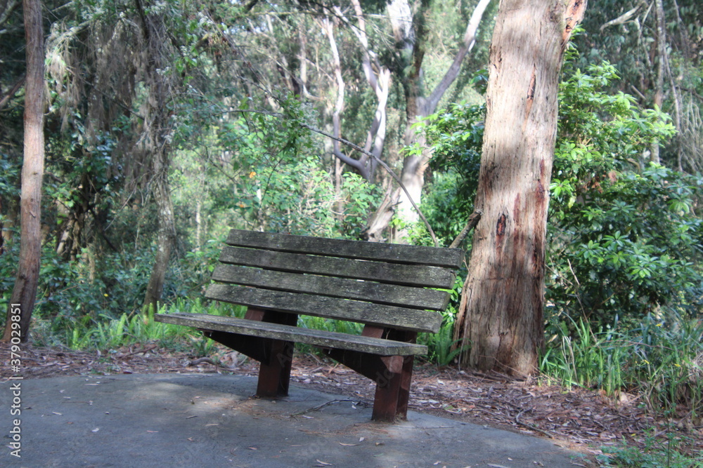 A bench seat on the Fernleigh Track a Walking and Bike Track Newcastle New South Wales Australia. A disused railway track. A bench seat on the Fernleigh Track a Walking and Bike Track Newcastle New South Wales Australia. A disused railway track.