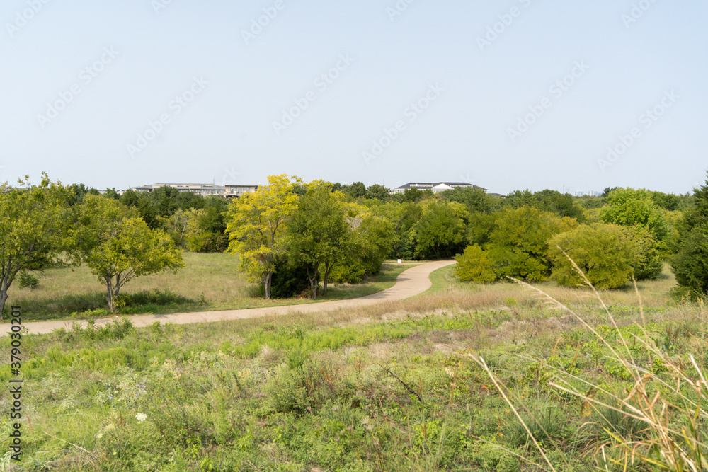 Fototapeta premium landscape with flowers and trees