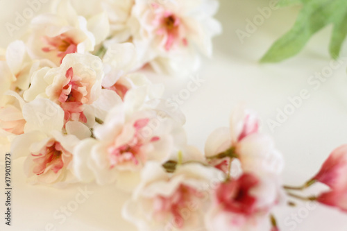 Flowers composition. Frame made of white tender flowers on white background. Flat lay, copy space