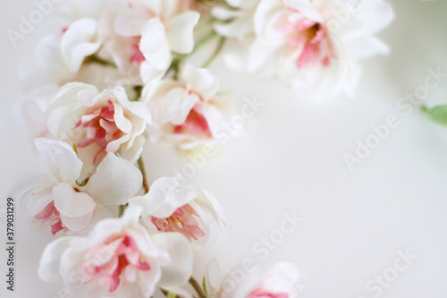 Flowers composition. Frame made of white tender flowers on white background. Flat lay, copy space © Olga