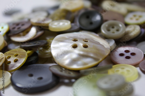 Clothes buttons used by seamstresses.