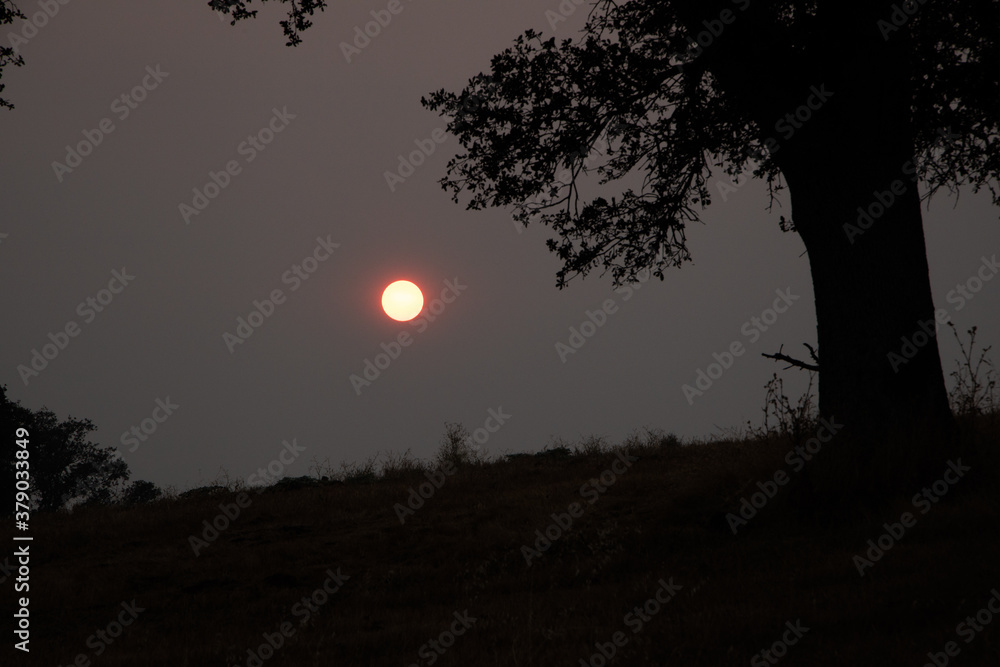 Dark Red Sun in Smoke Filled Sky Over the Sierra Foothills of California