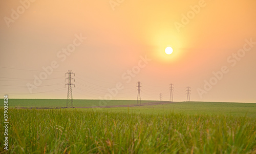 Sugar cane plantation sunset aerial