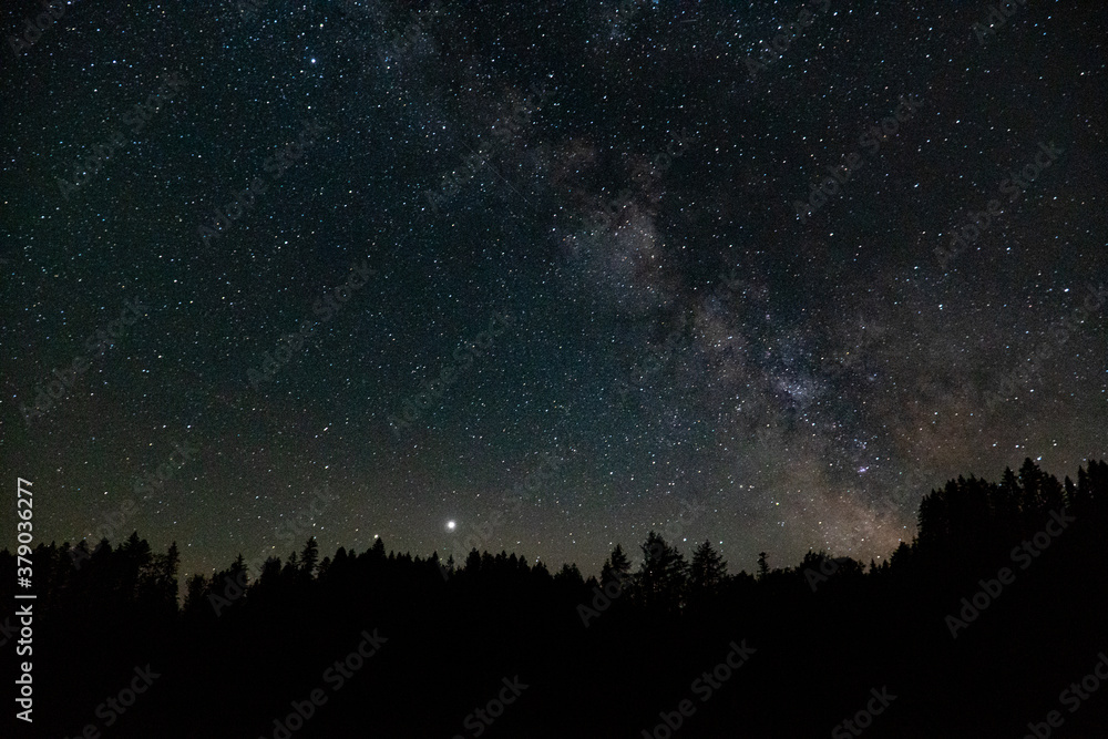milky way galaxy on the sky at night over a forest