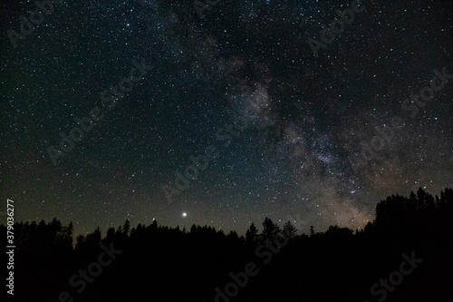 milky way galaxy on the sky at night over a forest