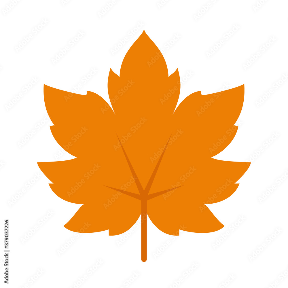 maple leaf icon, flat style maple leaf icon, flat style