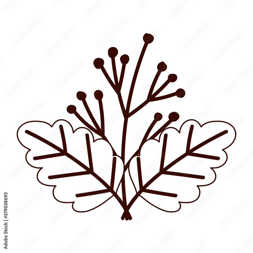 Obraz premium autumnal foliage branch berries isolated design white background line style