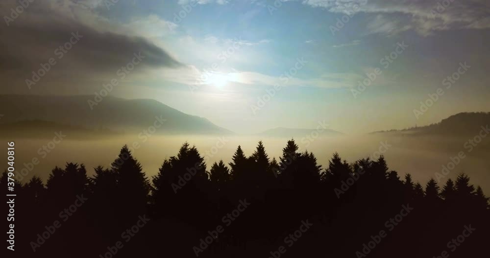 Flying over beautiful mountain spruce forest and the valley is filled with fog in Carpathian mountains at sunrise. Aerial view. Flying over beautiful mountain spruce forest and the valley is filled with fog in Carpathian mountains at sunrise. Aerial view.