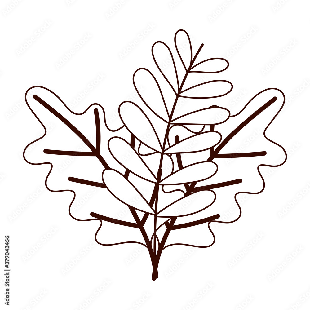 branch leaves autumn isolated design white background line style