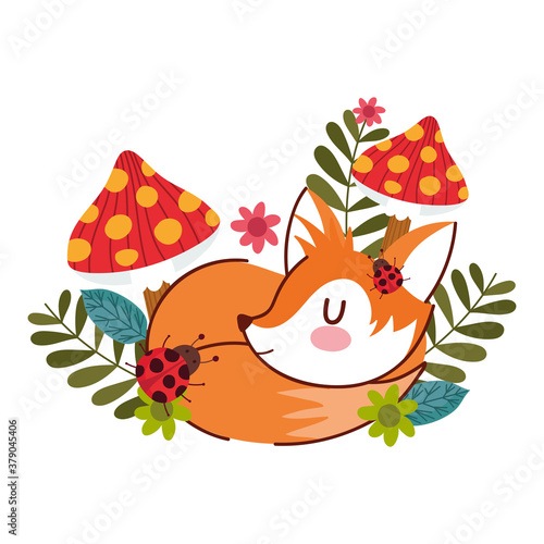 hello autumn, sleeping fox cartoon mushrooms ladybug flowers natural