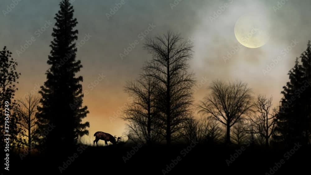 Deer in the Forest with Birds Silhouette 4K Loop features a forest silhouette with a deer eating and a full moon and moving clouds in the sky in a loop Deer in the Forest with Birds Silhouette 4K Loop features a forest silhouette with a deer eating and a full moon and moving clouds in the sky in a loop