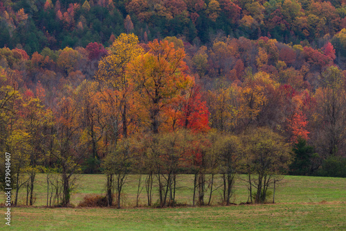 Autumn  East Tennessee Foothills