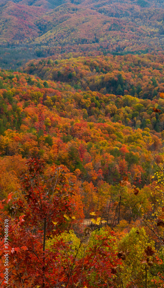 Autumn from Foothills Parkway, East Tennessee Autumn from Foothills Parkway, East Tennessee