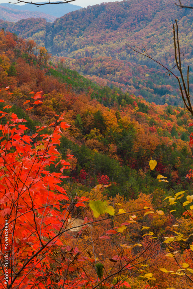 Autumn from Foothills Parkway, East Tennessee Autumn from Foothills Parkway, East Tennessee