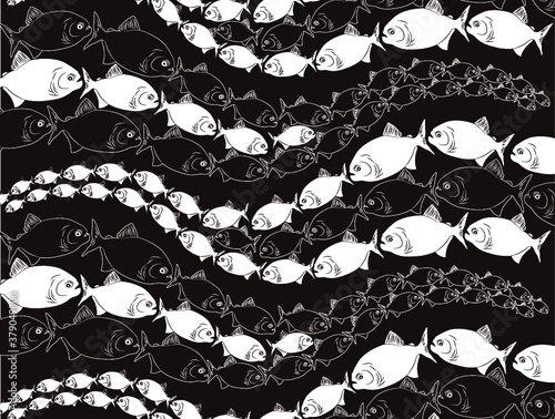 Peces abstracto