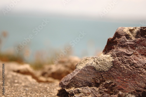 landscape in the morning