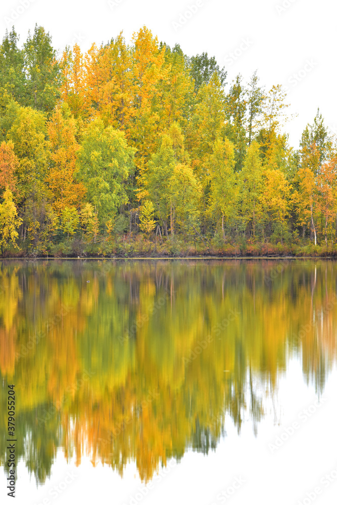 Autumn colors reflected in Reflections Lake, Alaska Autumn colors reflected in Reflections Lake, Alaska