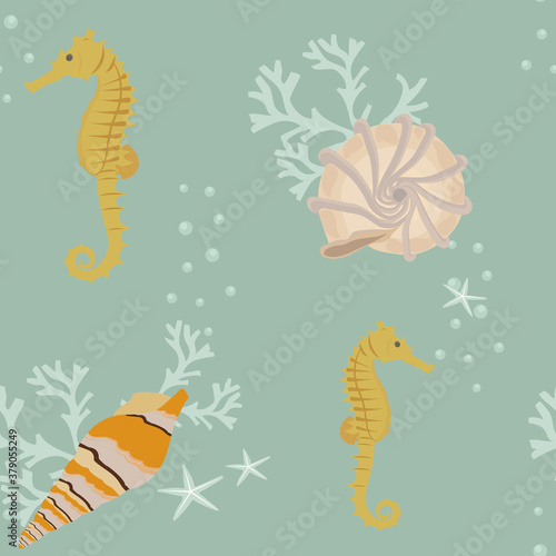 Seamless vector illustration with seahorse and seashells