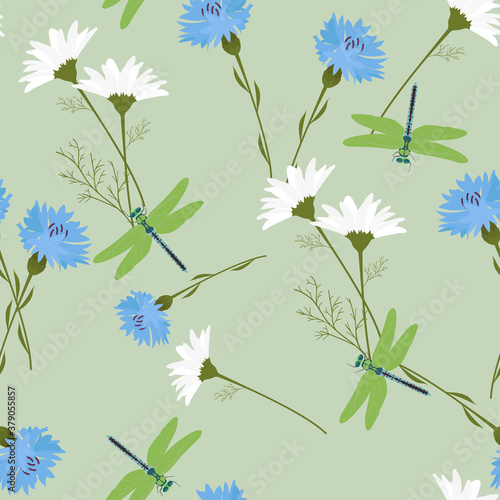 Seamless summer pattern with cornflowers, daisies and dragonflies