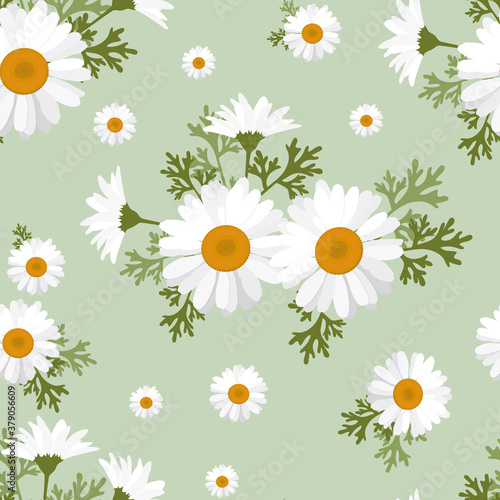 Seamless pattern with gentle camomiles
