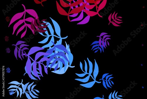 Dark Blue, Red vector elegant pattern with leaves.