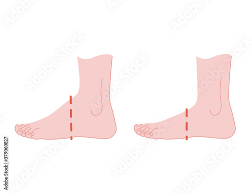Different sizes humas foot stand flat vector illustration on white background