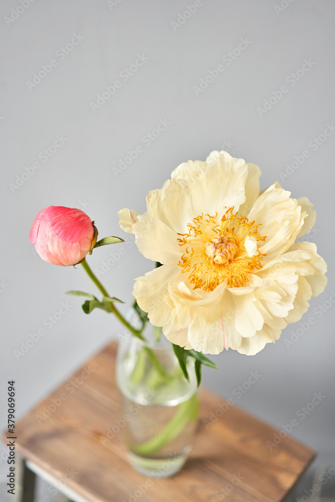 Bud and opening into a flower. Coral peonies in a glass vase on wooden table. Beautiful peony flower for catalog or online store. Floral shop concept . Beautiful fresh cut bouquet. Flowers delivery. - obrazy, fototapety, plakaty 