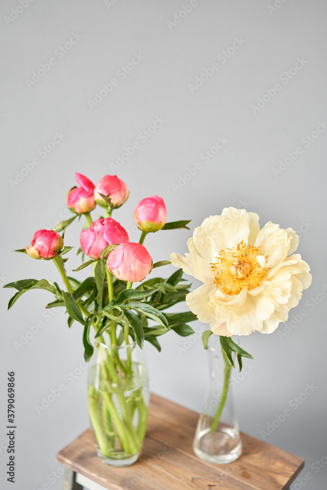 Bud and opening into a flower. Coral peonies in a glass vase on wooden table. Beautiful peony flower for catalog or online store. Floral shop concept . Beautiful fresh cut bouquet. Flowers delivery.
