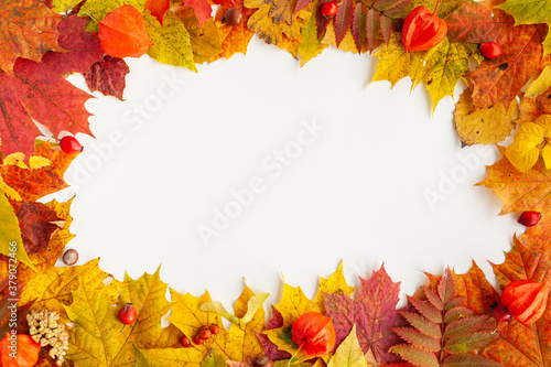 Autumn deciduous. Composition of autumn leaves, fruits and nuts. View from above.