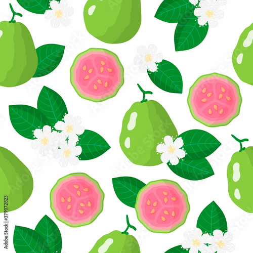 Vector cartoon seamless pattern with Psidium or Guava exotic fruits, flowers and leafs on white background photo