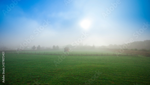 mystic autumn morning in the field