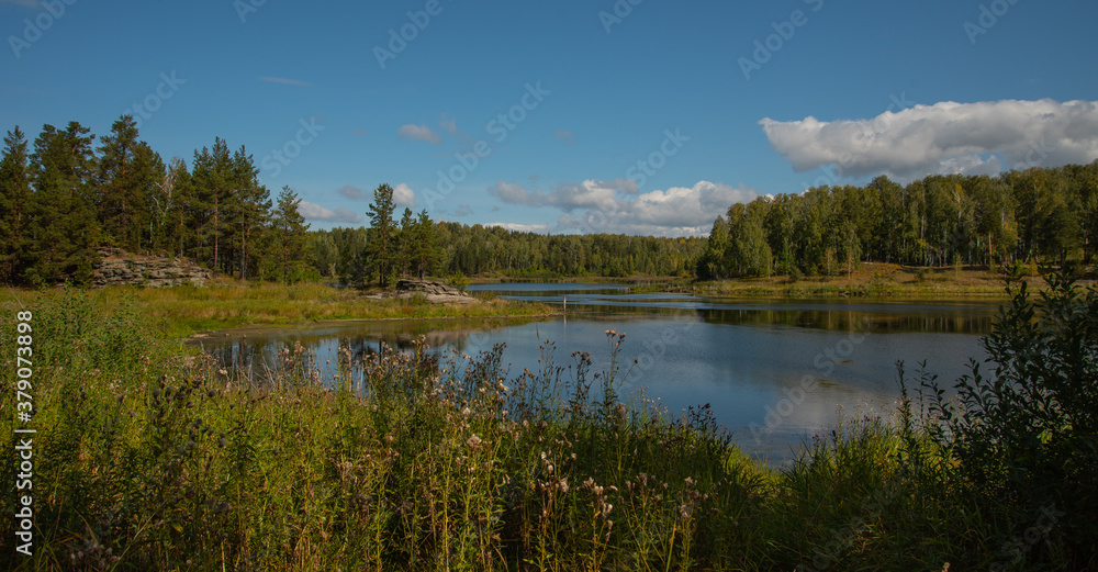 Forest lake Forest lake