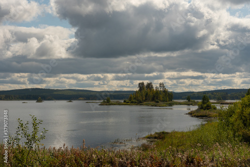 Forest lake