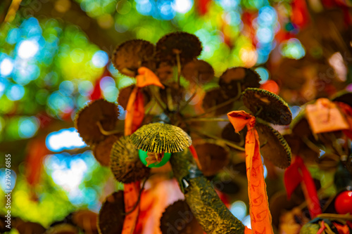 An oracle at Suoi Tien park in Ho Chi Minh Vietnam photo